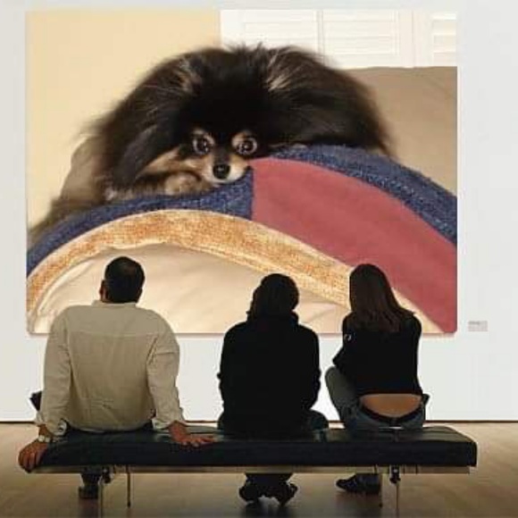 Meet the Posher - Picture 2 of 4